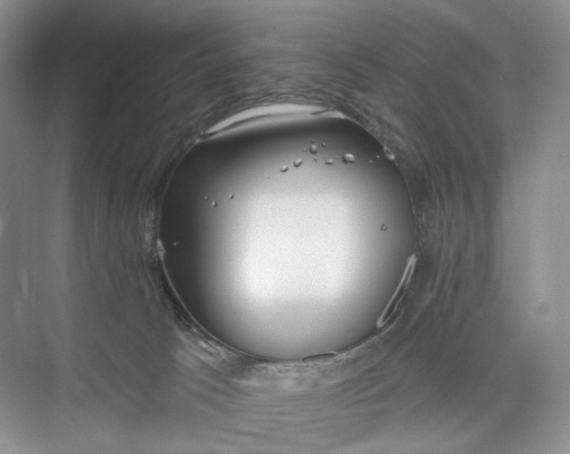 X0000073480033200608140828