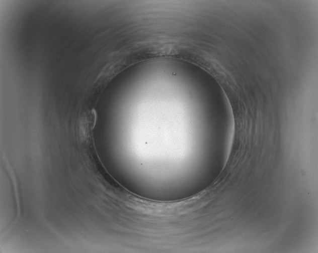 X0000073480035200608140828