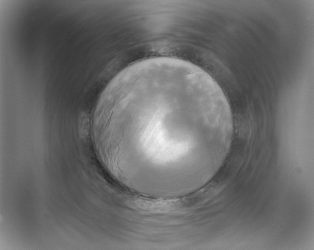 X0000073480036200608140828