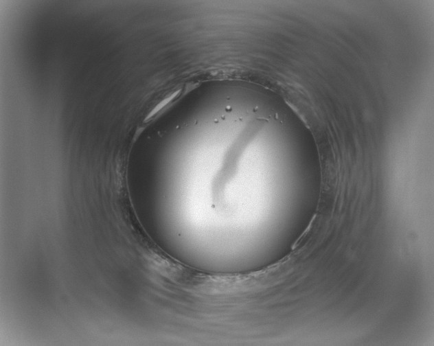 X0000073480037200608140828