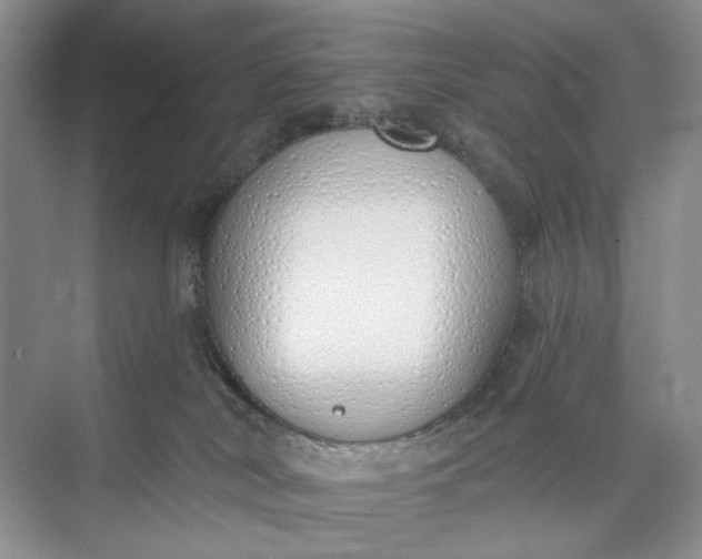 X0000073480038200608140827