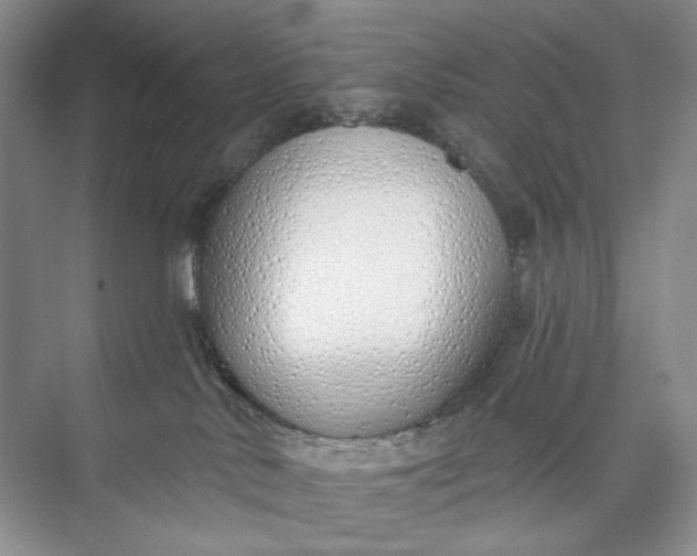 X0000073480042200608140827