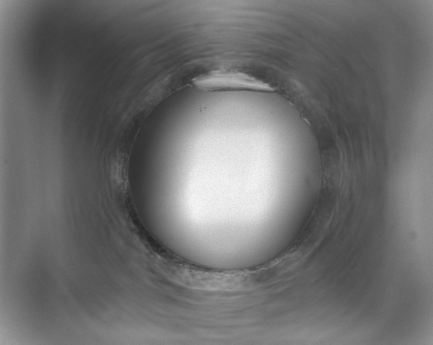 X0000073480044200608140827