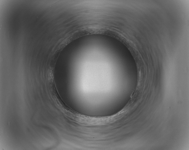 X0000073480048200608140827