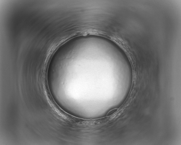 X0000073480049200608140827