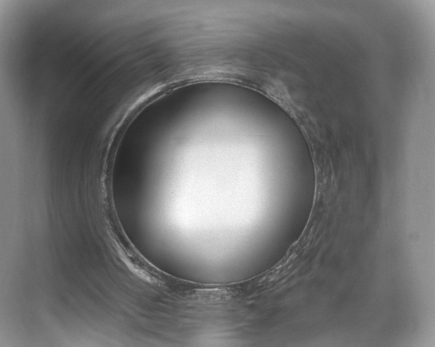 X0000073480050200608140827