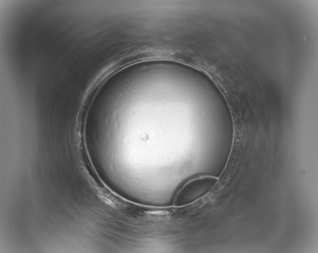 X0000073480053200608140827