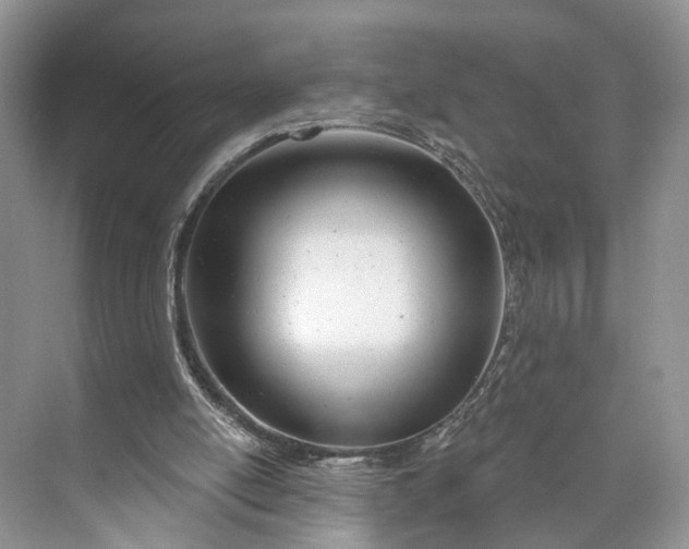 X0000073480054200608140827