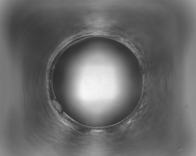 X0000073480055200608140827