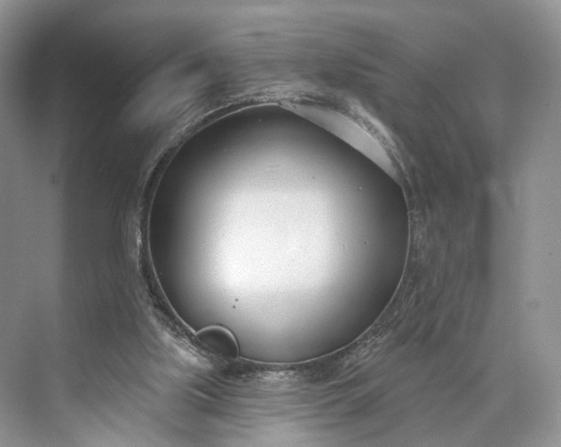 X0000073480059200608140827