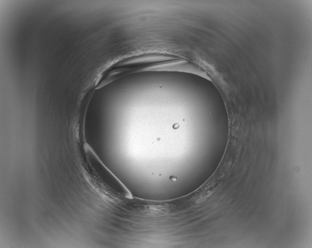 X0000073480060200608140827