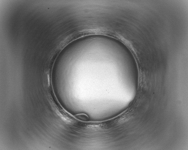 X0000073480061200608140827