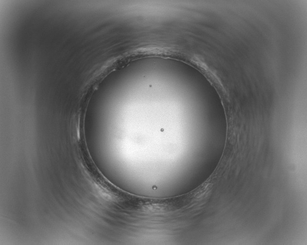 X0000073480062200608140827