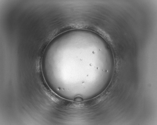 X0000073480065200608140827