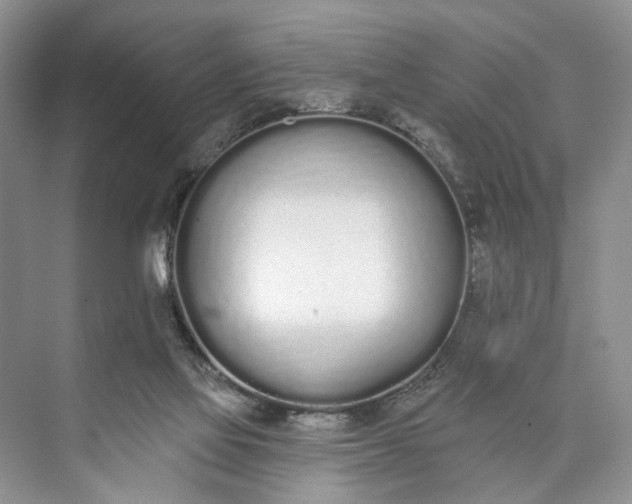 X0000073480069200608140827