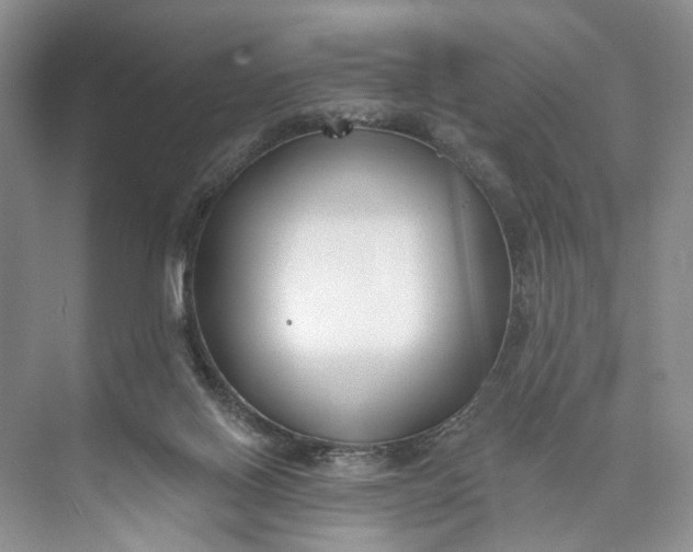 X0000073480070200608140827