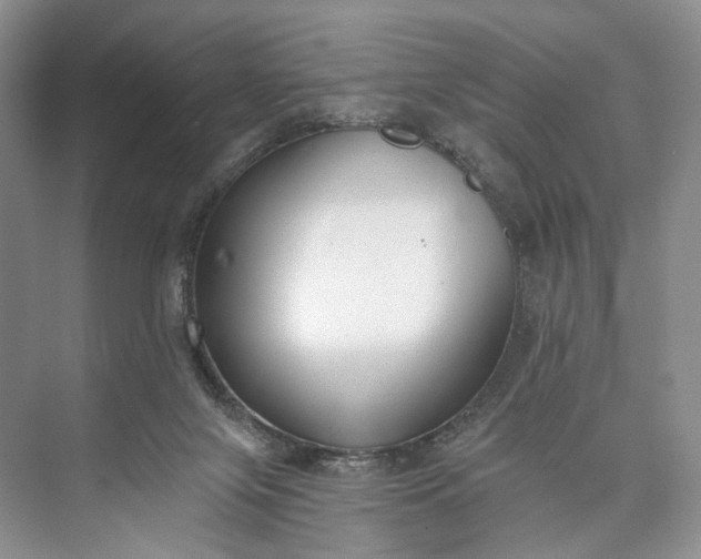 X0000073480071200608140827