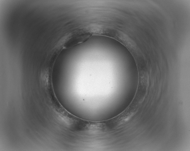 X0000073480072200608140827