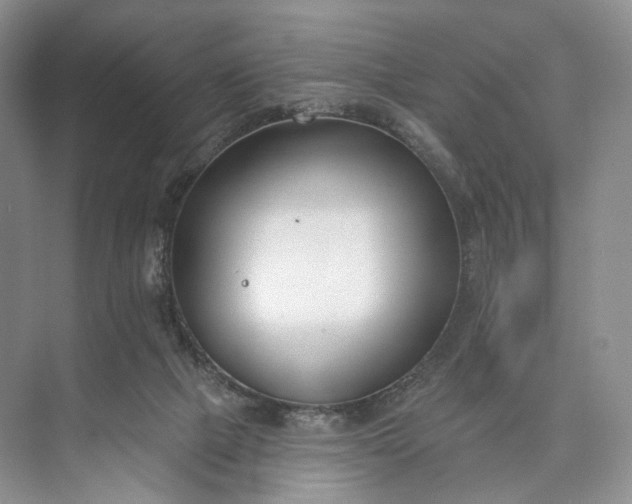 X0000073480073200608140827