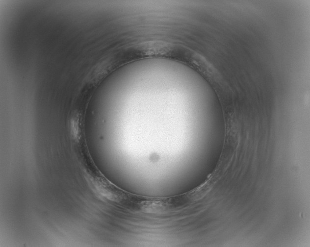 X0000073480074200608140827