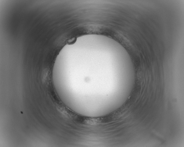 X0000073480079200608140827