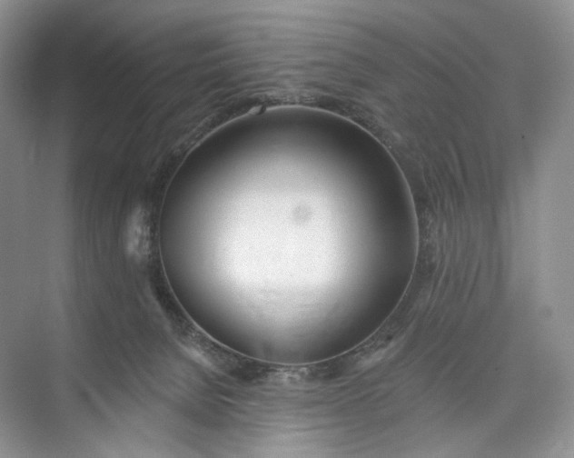 X0000073480080200608140827