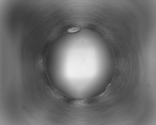 X0000073480086200608140827