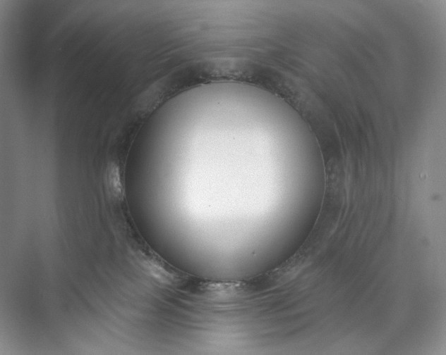 X0000073480089200608140827