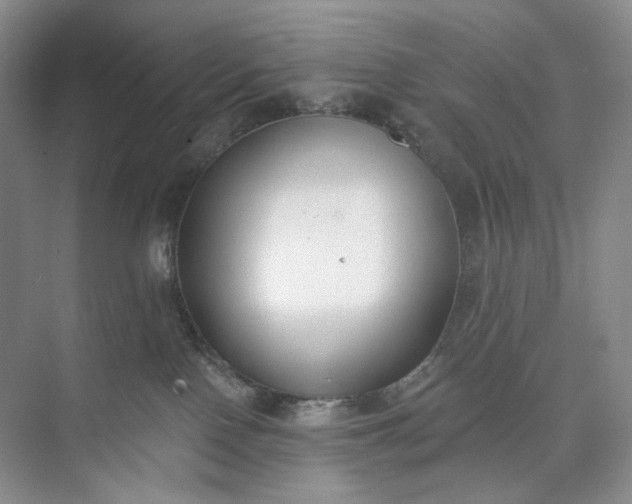 X0000073480090200608140827