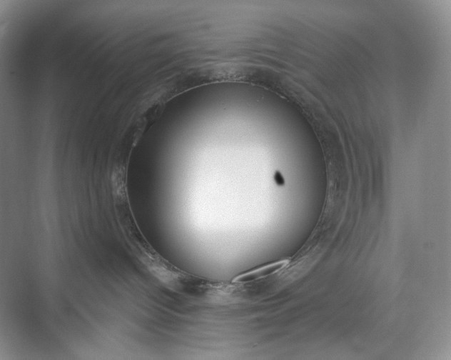 X0000073480096200608140827