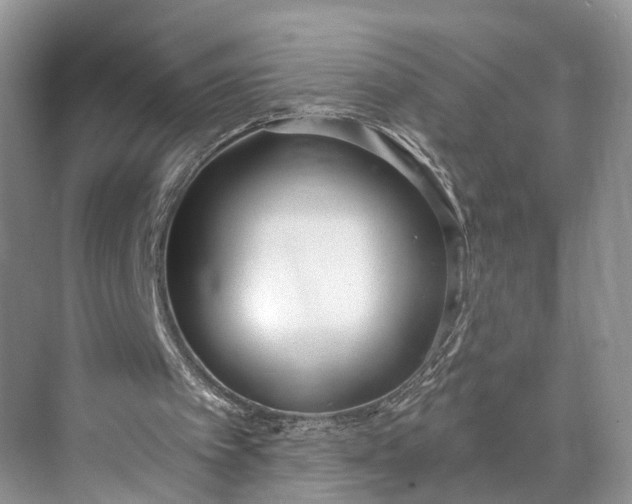 X0000073480097200608140826