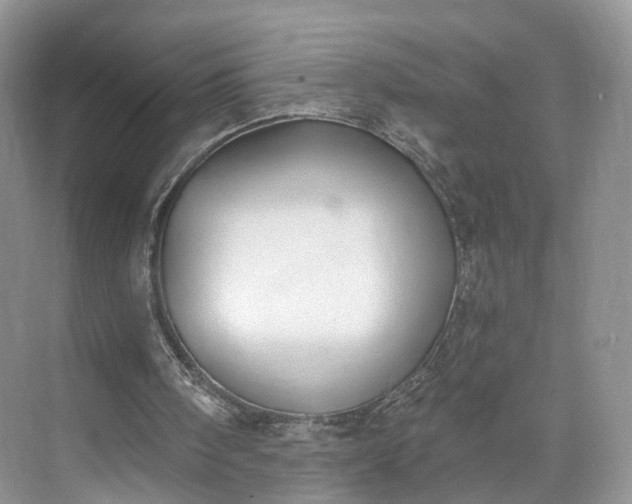 X0000073480098200608140826