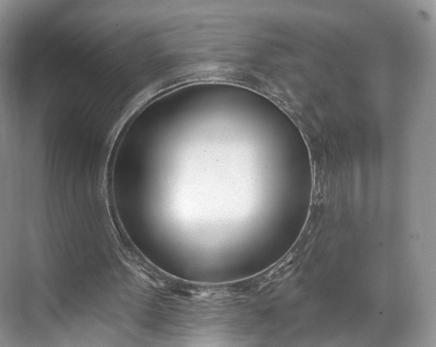 X0000073480099200608140826