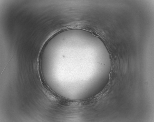 X0000073480100200608140826