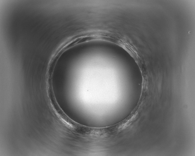 X0000073480101200608140826