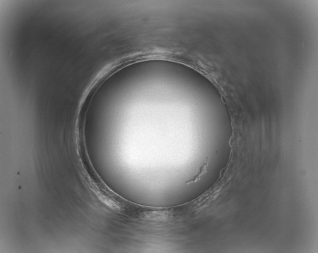 X0000073480102200608140826