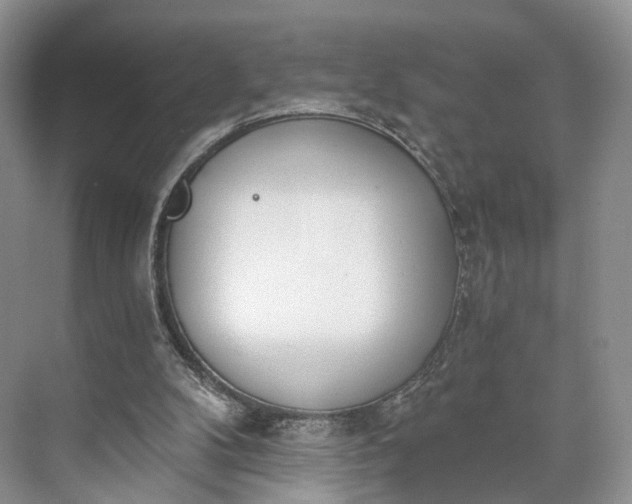 X0000073480104200608140826