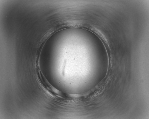 X0000073480105200608140826