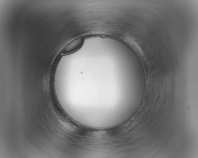 X0000073480108200608140826