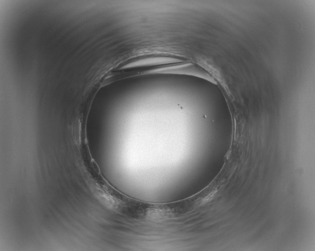 X0000073480109200608140826