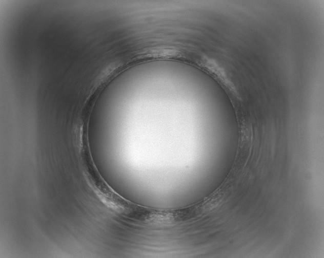 X0000073480110200608140826