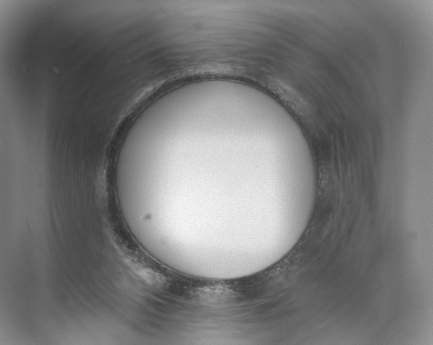 X0000073480112200608140826