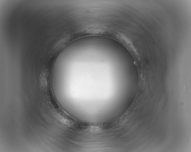 X0000073480114200608140826