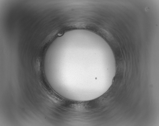 X0000073480120200608140826