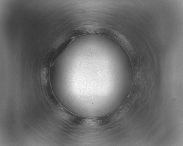 X0000073480121200608140826