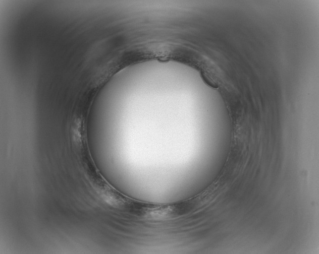 X0000073480122200608140826