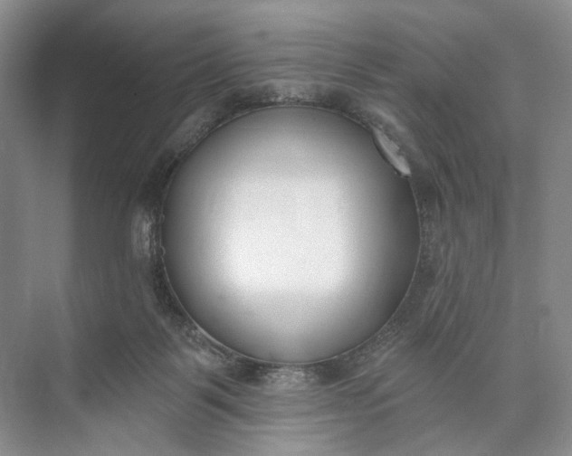 X0000073480123200608140826