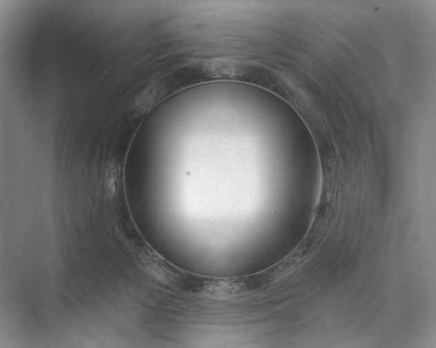 X0000073480125200608140826