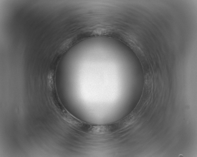 X0000073480127200608140826