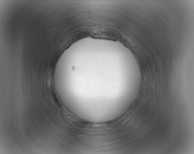 X0000073480129200608140826